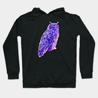 Owl Hoodie